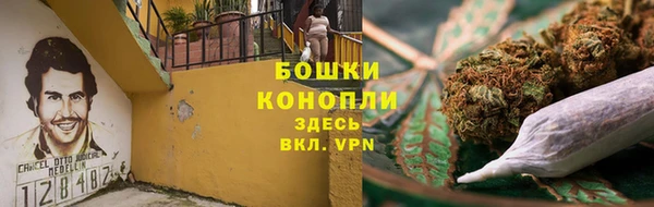 PSILOCYBIN Кулебаки