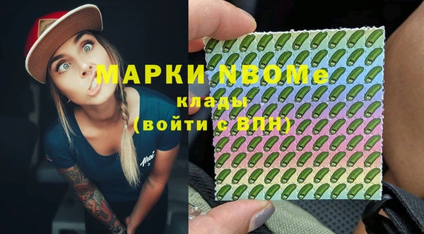 прущие грибы Краснотурьинск