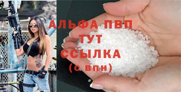 прущие грибы Краснотурьинск