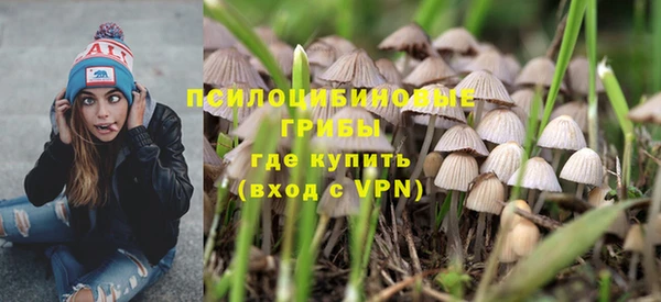 бошки Краснослободск