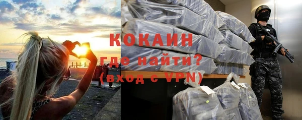 прущие грибы Краснотурьинск
