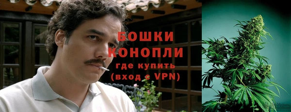 прущие грибы Краснотурьинск