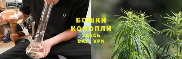 бошки Краснослободск