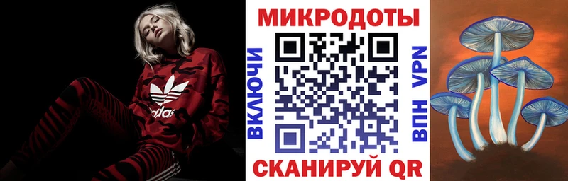 Галлюциногенные грибы Cubensis  купить  цена  Михайловка 